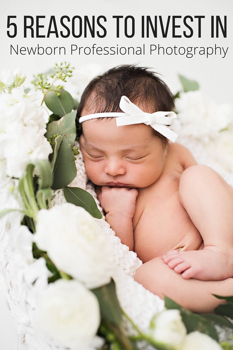5 Reasons Why you Should Invest in Newborn Professional Photography –  HAWTHORNE AND MAIN