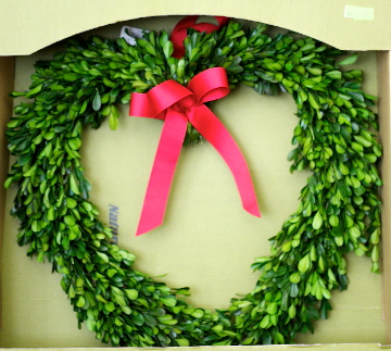 Boxwood Wreath (Refurbished)