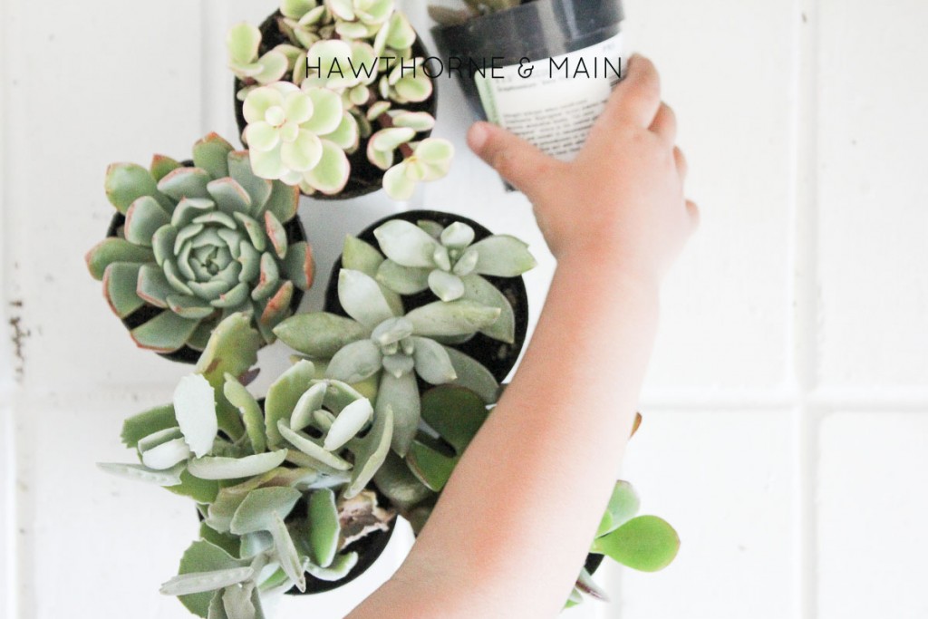 Simple flower pot DIY. I love the pop of colors that show thought. This looks fun and easy. 