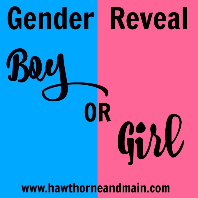 Gender Reveal!