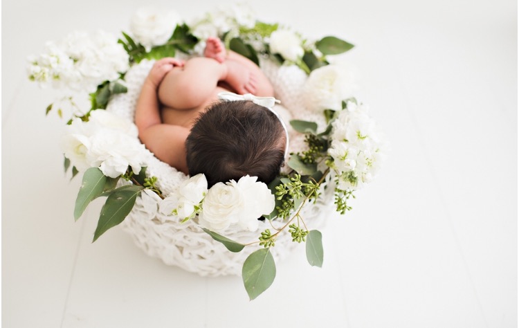 A few of our newest addition. Her newborn baby photos turned out so cute. I cannot decide which is my favorite. So many good ones! 