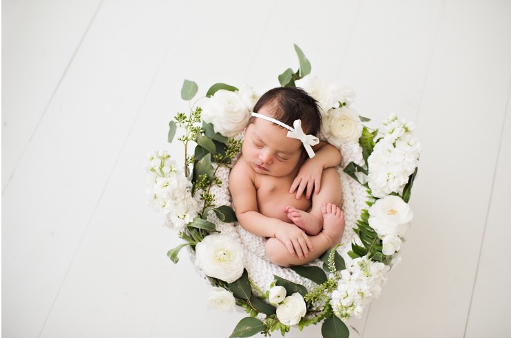 A few of our newest addition. Her newborn baby photos turned out so cute. I cannot decide which is my favorite. So many good ones! 