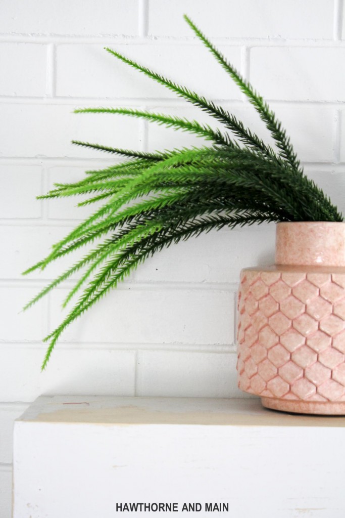 fern-in-pink-vase