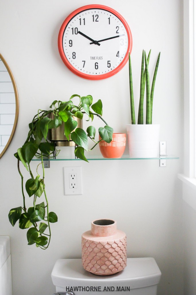 plants on shelf in bathroom