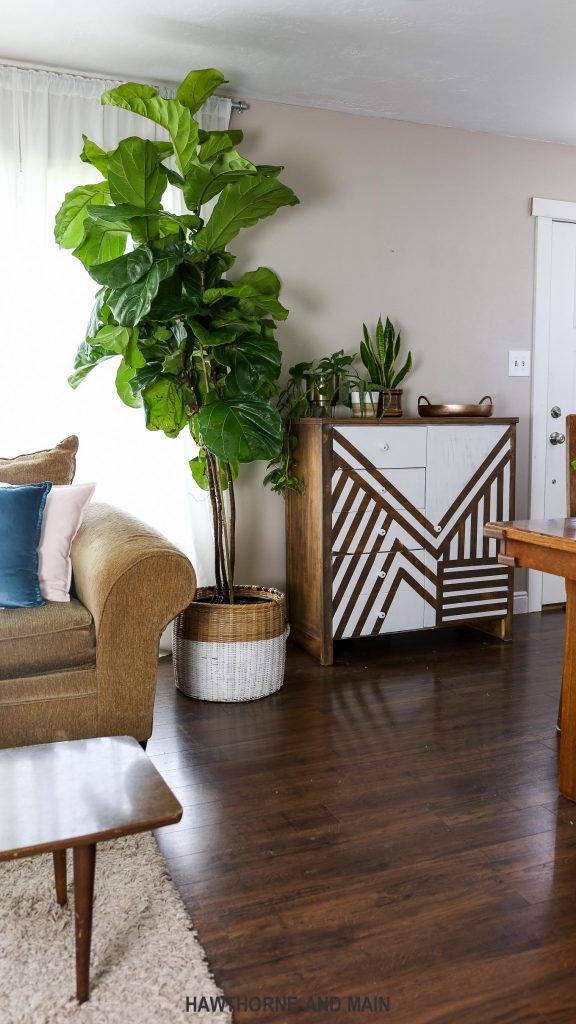howtotakecareofafiddleleaffig HAWTHORNE AND MAIN