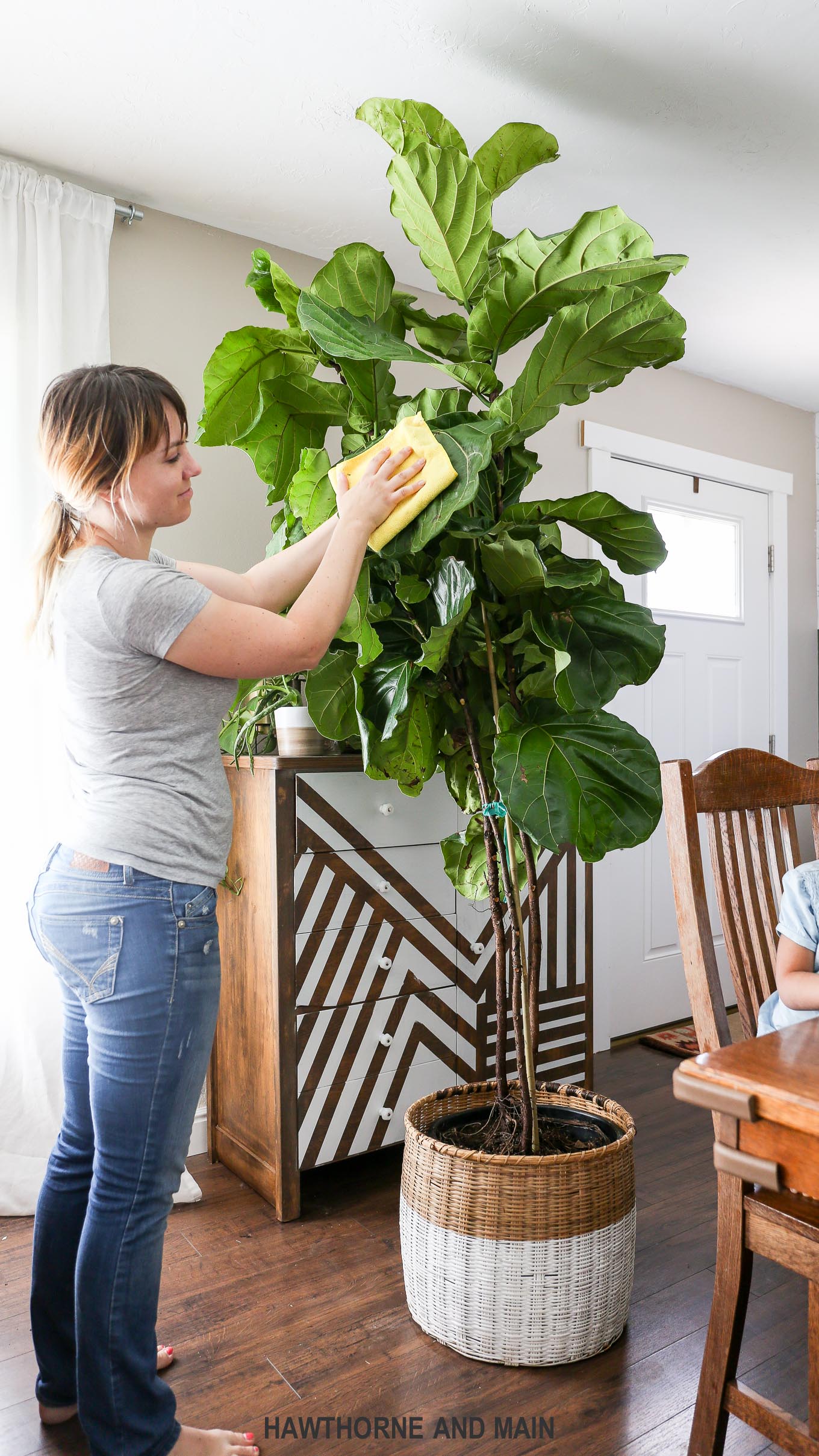 wipe leaves with a clean cotton cloth